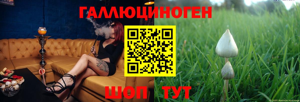 Псилоцибиновые грибы MAGIC MUSHROOMS  Псилоцибиновые грибы Psilocybine cubensis  Урюпинск  Вход с VPN 